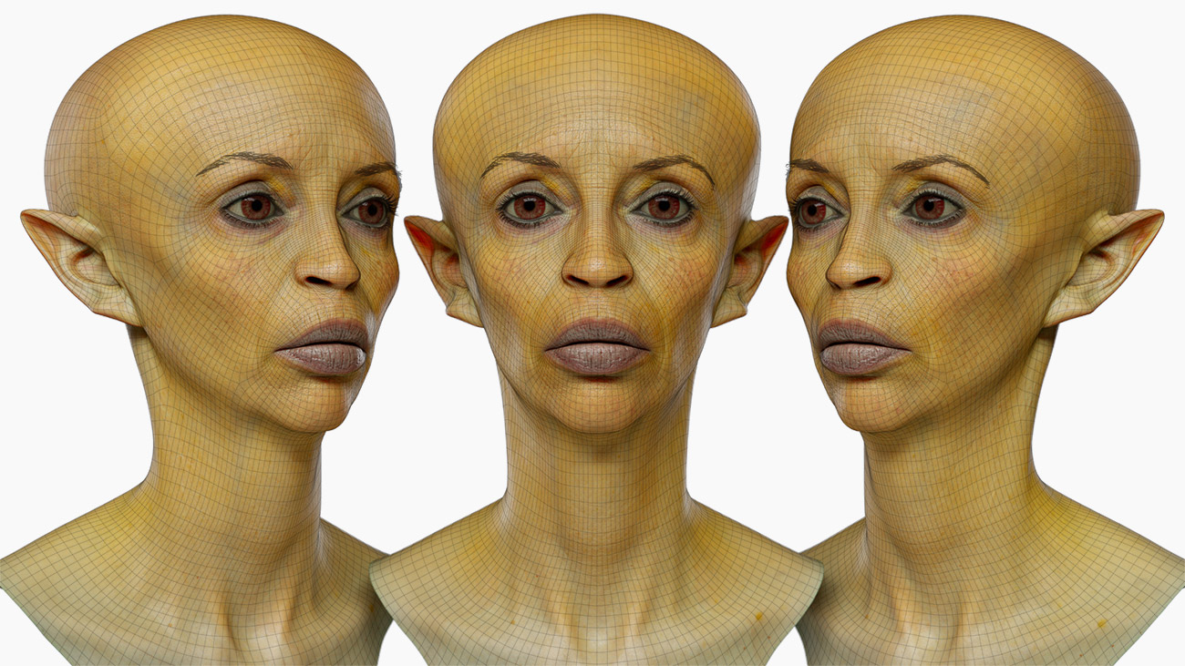 Download female elf topology 3d model 